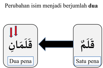 Isim Mufrod, Mutsanna dan Jamak - Pengertian, Jenis dan Contohnya