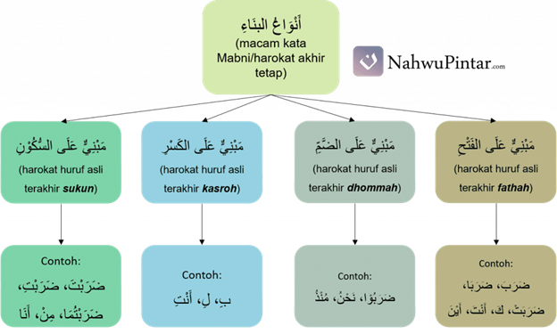 Anwaul Bina’ (أَنْوَاعُ البِنَاءِ) – Macam Bina’, Penjelasan dan Contoh I'rob