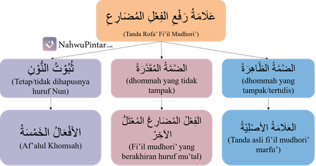 Fi'il Mudhori' Marfu' (رَفْعُ الفِعْلِ المُضَارِعِ) - Kaidah, Tanda Rofa' dan Contoh I'rob