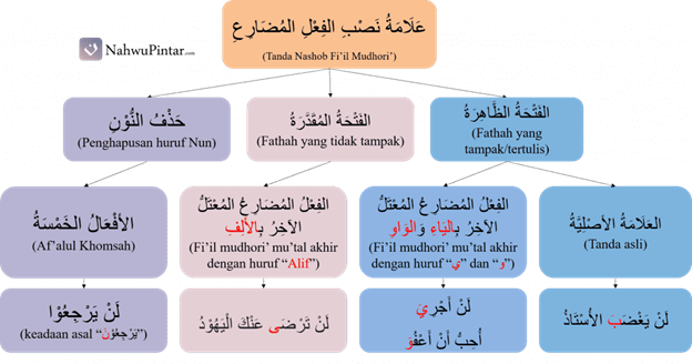 Fi'il Mudhori' Manshub (نَصْبُ الفِعْلِ المُضَارِعِ) - Hurufun Nawasib, Kaidah dan Contoh I'rob