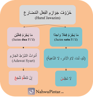 Fi'il Mudhori' Majzum (جَزْمُ الفِعْلِ المُضَارِعِ) - Huruful Jawazim, Kaidah dan Contoh I'rob