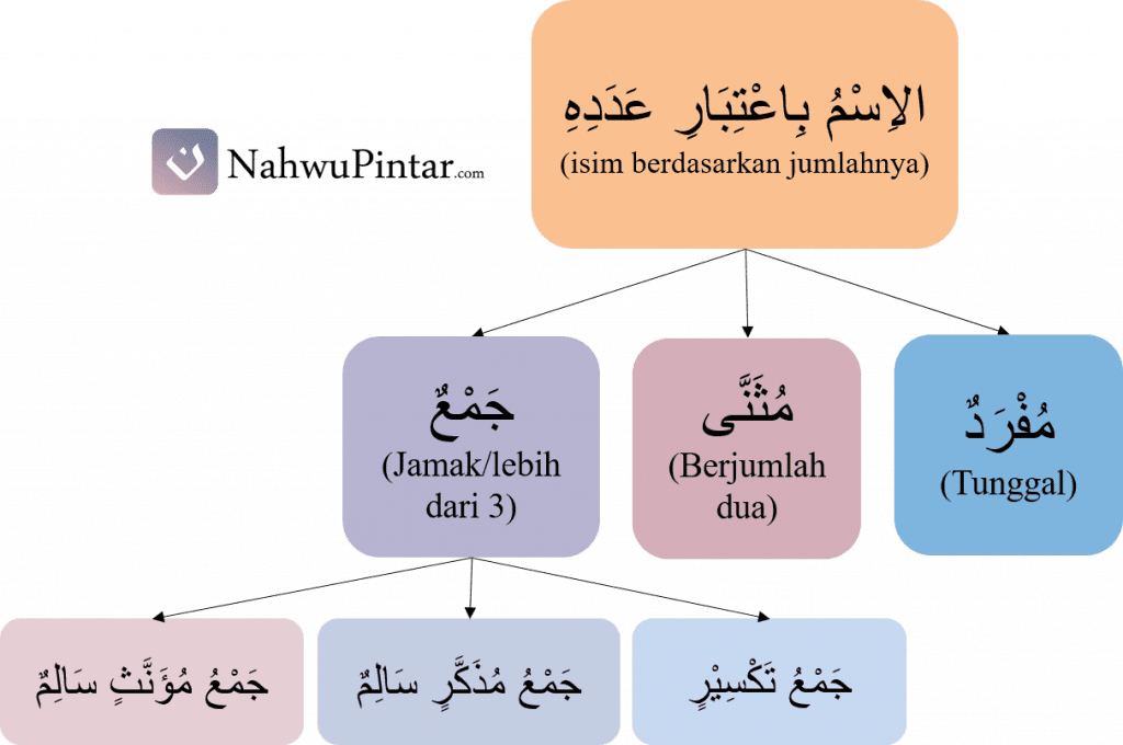 Isim Mufrod, Mutsanna dan Jamak - Pengertian, Jenis dan Contohnya